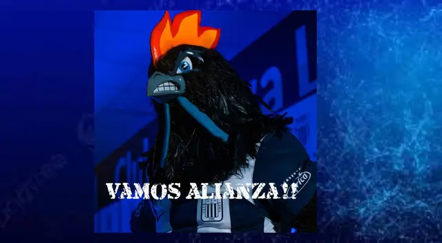 'Gallo negro' hace fuerza para darlo todo en la Libertadores 2024.