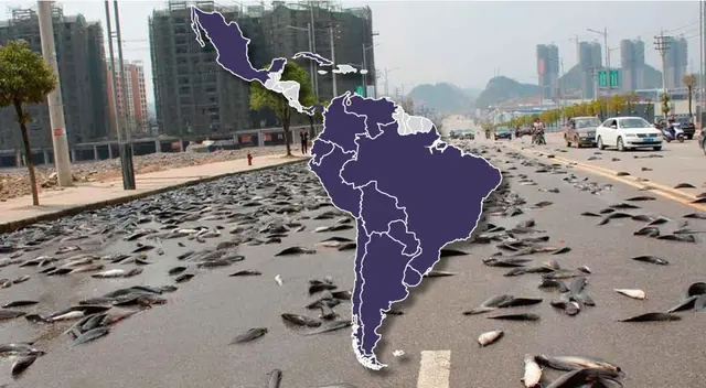 ¿Podrías descubrir en qué país de Latinoamérica ocurre anualmente la lluvia de peces?