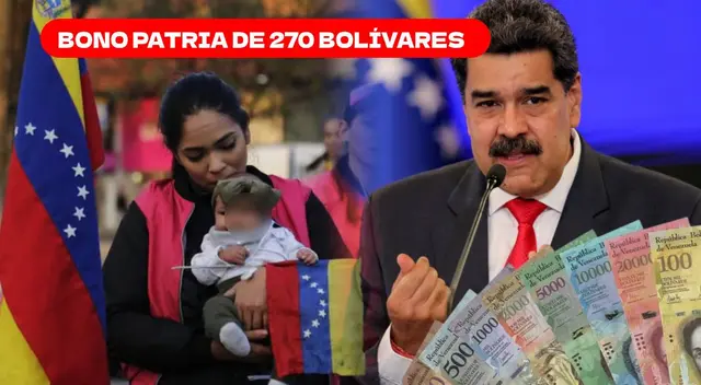 El Bono Patria de 270 bolívares forma parte de Hogares de la Patria.