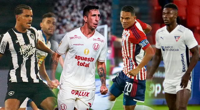 Grupo D de Copa Libertadores.