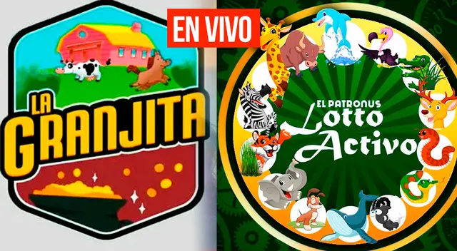 Checa los resultados de Lotto Activo y La Granjita de este domingo. Checa los resultados de Lotto Activo y La Granjita de este domingo.