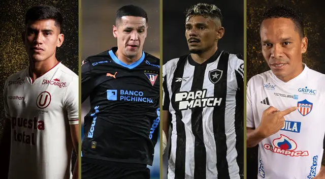 Así va la tabla de posiciones del grupo D de la Copa Libertadores 2024.