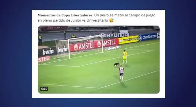 memes universitario memes universitario