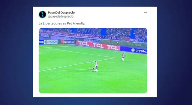 memes universitario memes universitario