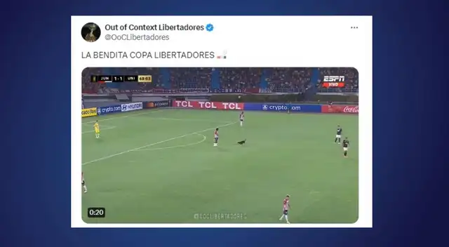 memes universitario memes universitario