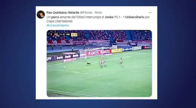 memes universitario memes universitario