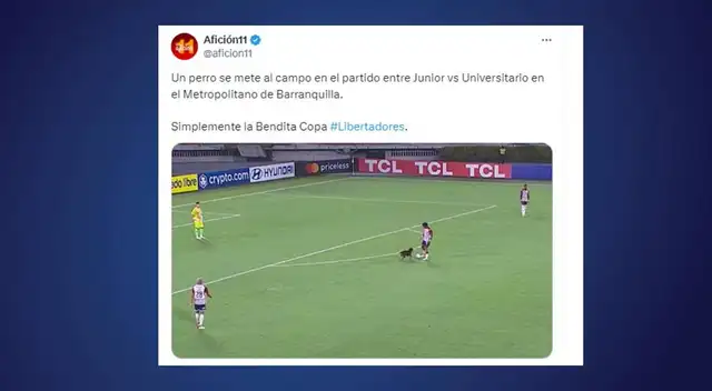 memes universitario memes universitario