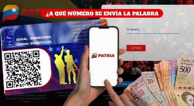 Existen diversos números para enviar la palabra bono y consultar si recibirás el beneficio. Existen diversos números para enviar la palabra bono y consultar si recibirás el beneficio.
