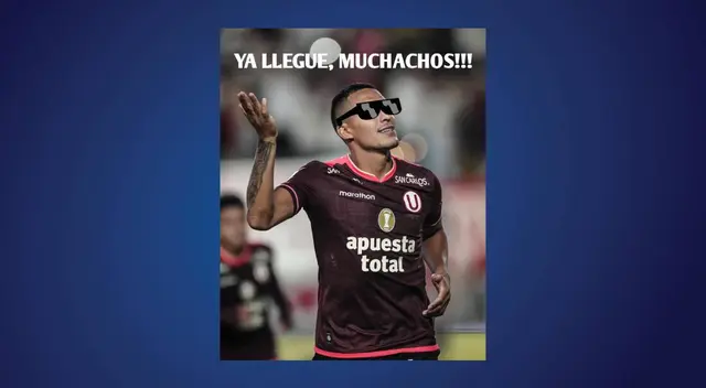 memes universitario