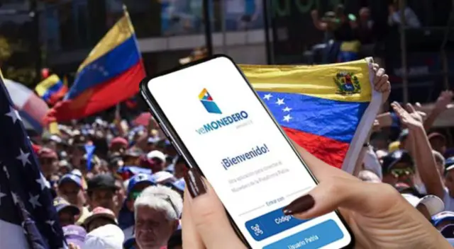 Monedero Patria: revisa cómo conocer tu saldo en la plataforma