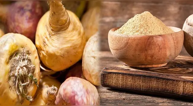 La maca es una raíz muy nutritiva que solo crece en los andes centrales de Perú a más de 4 mil metros sobre el nivel del mar.