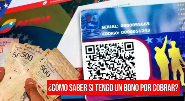 Bonos de la Patria 2024 Bonos de la Patria 2024