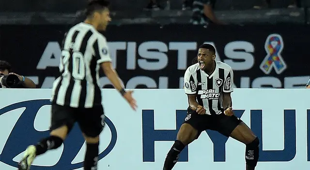 Botafogo consiguió un importante triunfo ante LDU en Brasil.