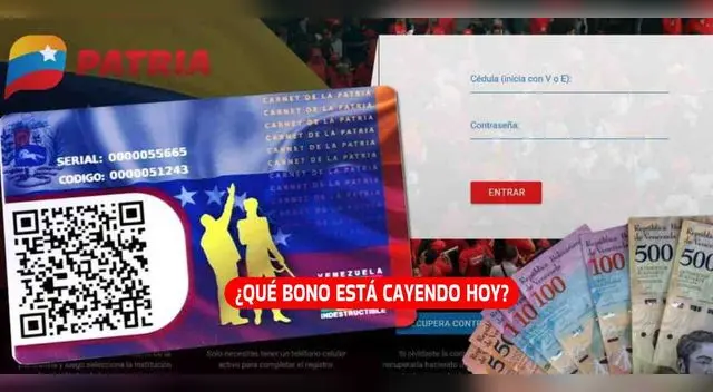 Conoce qué bono están cayendo en la plataforma del Sistema Patria.