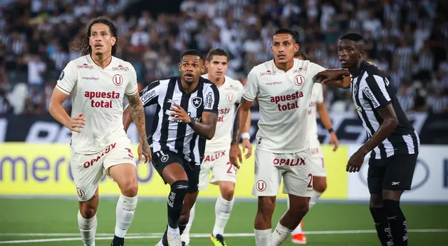 Universitario