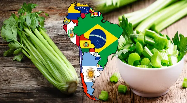 Esta verdura de color verde sirve para limpiar tu colon, pero también te ayudará si lo que deseas es bajar de peso. Esta verdura de color verde sirve para limpiar tu colon, pero también te ayudará si lo que deseas es bajar de peso.