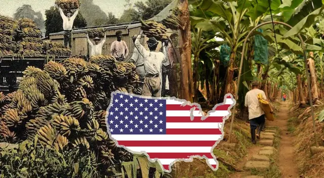 El plátano causó que el ejército estadounidense invadiera tres países de Latinoamérica.