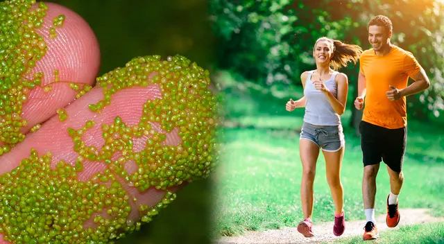 La fruta que mide menos de 1 milímetro y que crece en países de Sudamérica