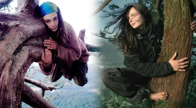 Julia Hill vivió casi dos años en un árbol de secuoya para protegerlo de la deforestación. Esta es su historia completa.