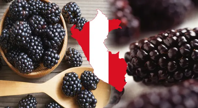 Esta fruta crece en el Perú y en diversas partes del mundo, lo que ha provocado que en la actualidad existan más de 300 variedades de la misma. Esta fruta crece en el Perú y en diversas partes del mundo, lo que ha provocado que en la actualidad existan más de 300 variedades de la misma.