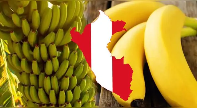 Esta fruta se encuentra entre las preferidas de los peruanos y es cultivada en, prácticamente, todas las latitudes del país andino.