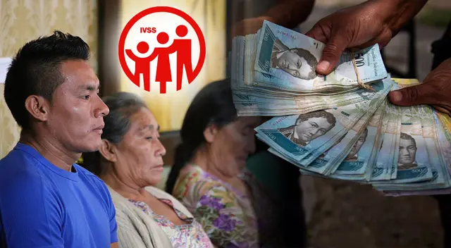 Conoce cómo consultar tu cuenta individual del IVSS por tu número de cédula.