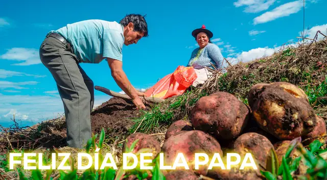 El Día Internacional de la Papa se celebra el 30 de mayo con la finalidad de conmemorar la importancia de este alimento. El Día Internacional de la Papa se celebra el 30 de mayo con la finalidad de conmemorar la importancia de este alimento.