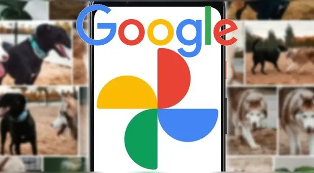 Google Fotos es una de las herramientas más importantes en los servicios de Google. Descubre para qué sirve y cómo optimizar su funcionamiento. Google Fotos es una de las herramientas más importantes en los servicios de Google. Descubre para qué sirve y cómo optimizar su funcionamiento.