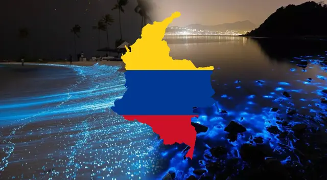 En esta nota conocerás cuáles son las causas que provocan este hermoso fenómeno nocturno y en qué otras playas del mundo las puedes encontrar.