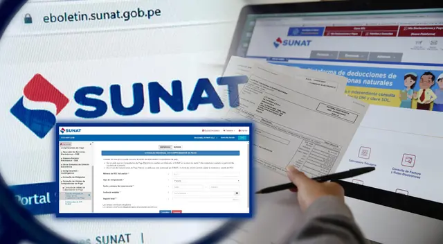 consulta individual de comprobantes de pago consulta individual de comprobantes de pago