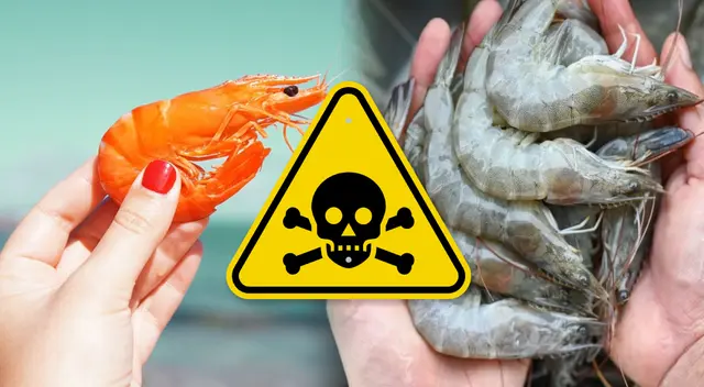 Si eres un asiduo comensal de camarones y mariscos, entonces, lee con mucha atención esta nota, pues podrías salvar tu vida a tiempo y no es exageración. Si eres un asiduo comensal de camarones y mariscos, entonces, lee con mucha atención esta nota, pues podrías salvar tu vida a tiempo y no es exageración.