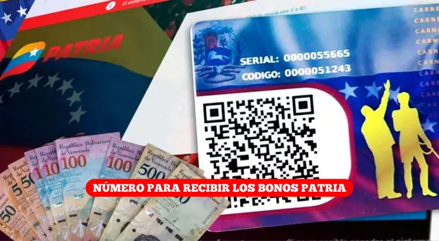 Conoce a qué número debes enviar la palabra 'BONO' para recibir los subsidios.