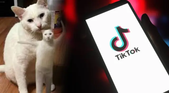 Te diremos cómo unirte al nuevo trend de TikTok. Te diremos cómo unirte al nuevo trend de TikTok.
