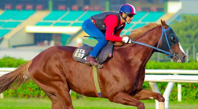 Jockey Fest se realizará este domingo 23 de junio Jockey Fest se realizará este domingo 23 de junio