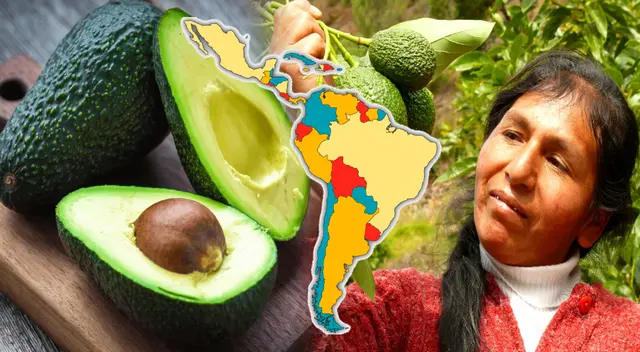 Hoy aprenderás cuáles son las formas para saber si la palta o aguacate ya está madura y listo para comer.