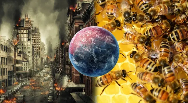En esta nota conocerás la evidencia científica que hay respecto a la afirmación de que la humanidad no sobrevivirá si es que las abejas se extinguen del planeta. En esta nota conocerás la evidencia científica que hay respecto a la afirmación de que la humanidad no sobrevivirá si es que las abejas se extinguen del planeta.