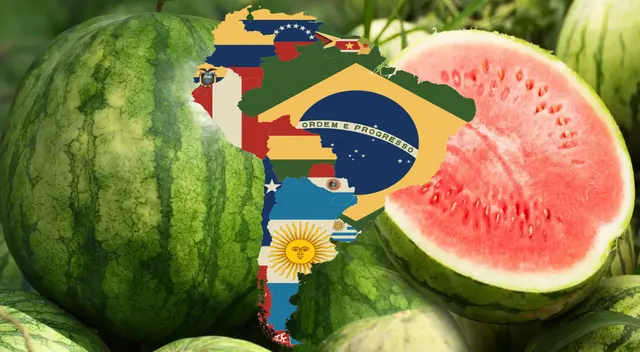 Esta fruta milenaria fue traída a América en la época de los grandes descubrimientos (siglo XVI) de la mano de europeos como españoles, ingleses, franceses u holandeses. Esta fruta milenaria fue traída a América en la época de los grandes descubrimientos (siglo XVI) de la mano de europeos como españoles, ingleses, franceses u holandeses.