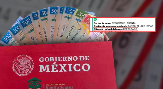 Conoce el estado actual de la Beca Benito Juárez 2024.