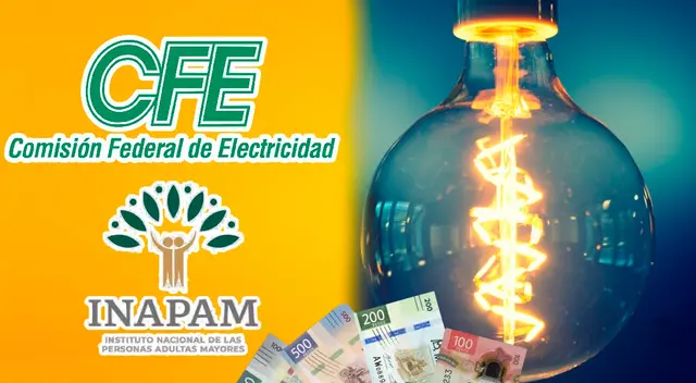 Conoce los descuentos con la Credencial INAPAM.