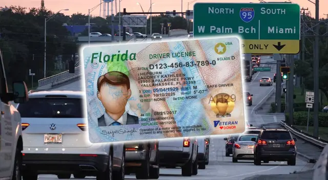 Residentes de Florida que reemplacen su licencia deben cumplir con la nueva norma. Residentes de Florida que reemplacen su licencia deben cumplir con la nueva norma.