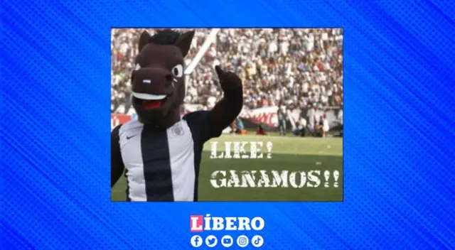Alejo tampoco se quedó atrás: el potrillo también se sumó a las celebraciones. Alejo tampoco se quedó atrás: el potrillo también se sumó a las celebraciones.