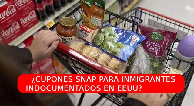 Descubre si los inmigrantes indocumentados pueden recibir cupones SNAP. Descubre si los inmigrantes indocumentados pueden recibir cupones SNAP.