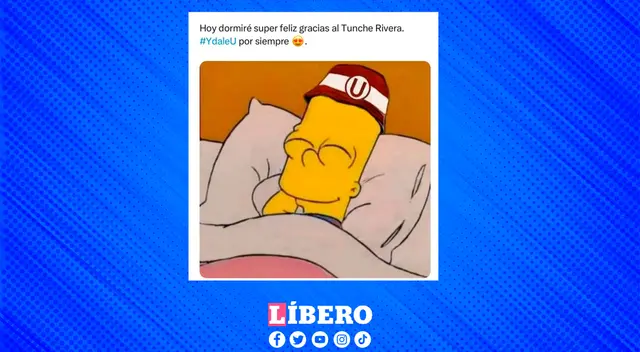 memes universitario