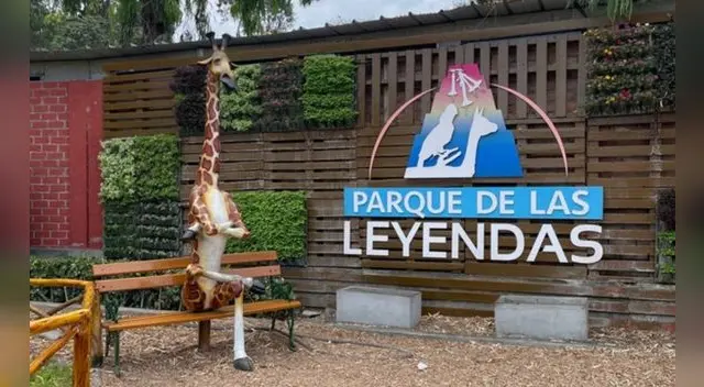 Cono la programación que podrás disfrutar en el Parque de las leyendas.