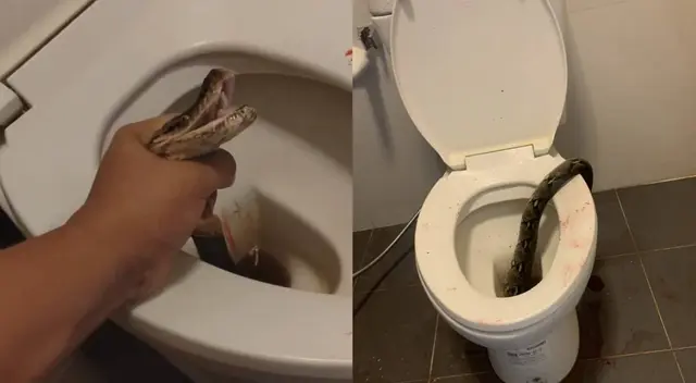 Hombre tuvo que ir al hospital para que le pongan vacuna contra el tétanos. Hombre tuvo que ir al hospital para que le pongan vacuna contra el tétanos.