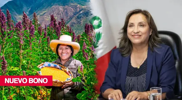 Bono Alimentario: consulta si sigue activo en este 2024 Bono Alimentario: consulta si sigue activo en este 2024