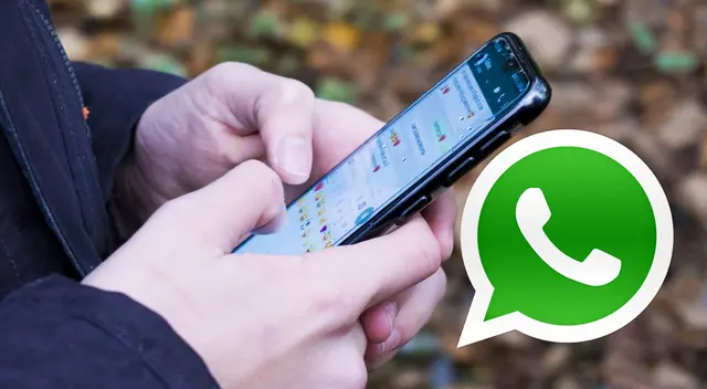 Para muchos, uno de los grandes puntos flacos de WhatsApp es que se queda corta en cuanto a niveles de personalización, pero los de Meta trabajan para solucionarlo. Para muchos, uno de los grandes puntos flacos de WhatsApp es que se queda corta en cuanto a niveles de personalización, pero los de Meta trabajan para solucionarlo.