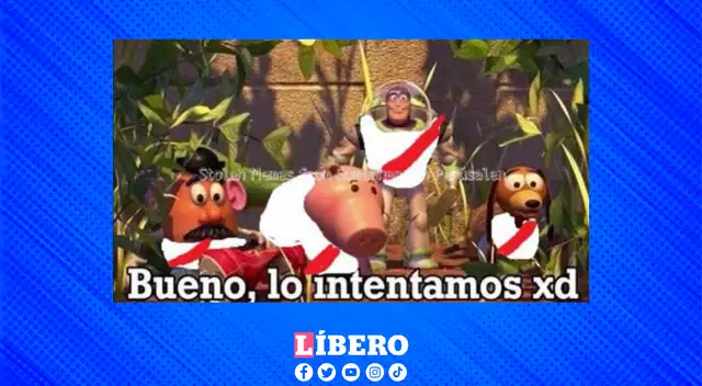 Muchos hinchas de la bicolor vieron a la selección así tras los resultados.