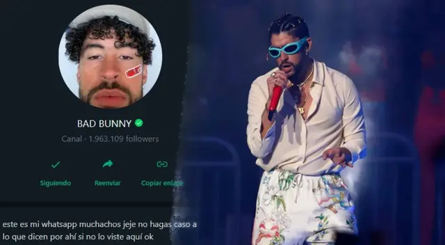 Bad Bunny deja curioso audio en su canal de WhatsApp Bad Bunny deja curioso audio en su canal de WhatsApp