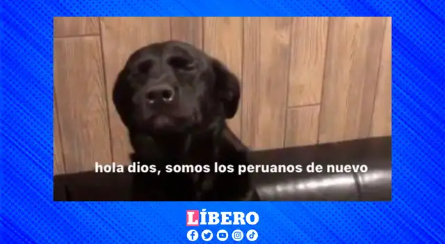 Peruanos no confían en la selección y publican singular meme previo al partido. Peruanos no confían en la selección y publican singular meme previo al partido.